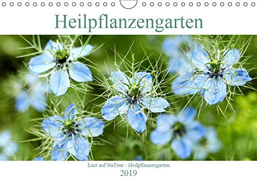 Lust auf NaTour - Heilpflanzengarten (Wandkalender 2019 DIN A4 quer): Die Kraft der Heilpflanzen entdecken (Monatskalender, 14 Seiten ) (CALVENDO Gesundheit) Leisure, Home & Garden