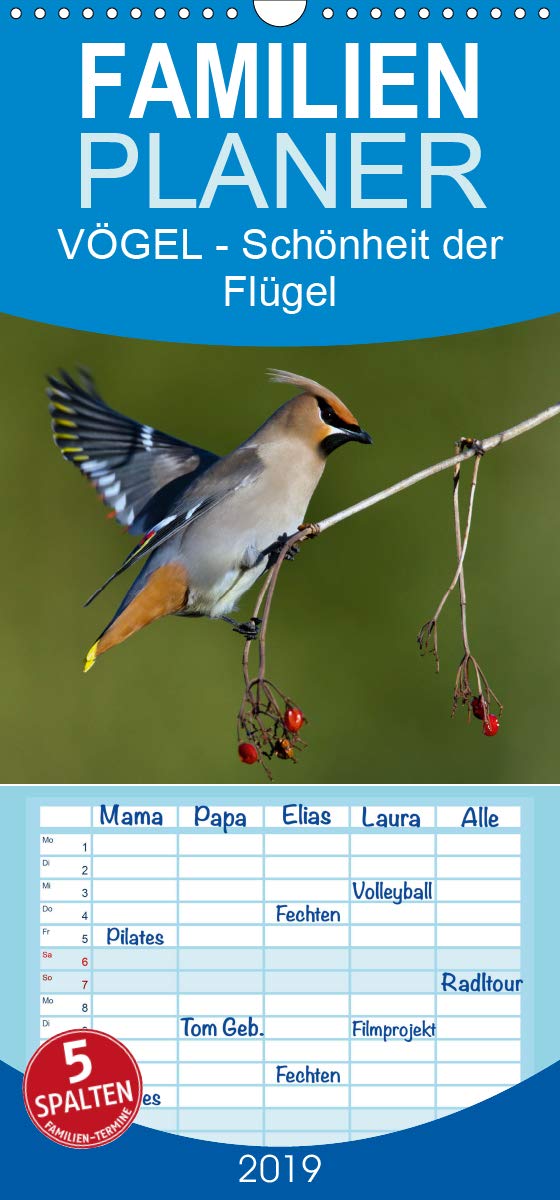 VÖGEL - Die Schönheit der Flügel - Familienplaner hoch (Wandkalender 2019 , 21 cm x 45 cm, hoch): Die Schönheit der Flügel (Monatskalender, 14 Seiten ) (CALVENDO Tiere) Photography