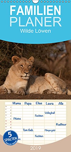 Wilde Löwen - Familienplaner hoch (Wandkalender 2019 , 21 cm x 45 cm, hoch): Wilde Löwen in Südafrika (Monatskalender, 14 Seiten ) (CALVENDO Tiere) Leisure, Home & Garden