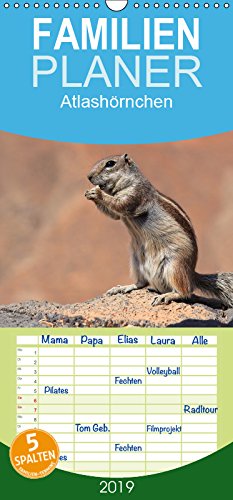 Atlashörnchen - Familienplaner hoch (Wandkalender 2019 , 21 cm x 45 cm, hoch): Die süßen Nager von Fuerteventura (Monatskalender, 14 Seiten ) (CALVENDO Tiere) Leisure, Home & Garden