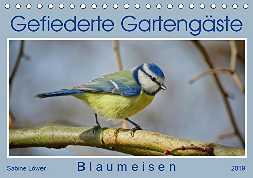 Gefiederte Gartengäste - Blaumeisen (Tischkalender 2019 DIN A5 quer): Lieblingsvögel in unseren Gärten. (Monatskalender, 14 Seiten ) (CALVENDO Tiere) Living & Furnishing