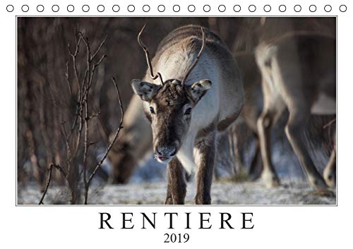 Rentiere (Tischkalender 2019 DIN A5 quer): Rentiere aus Nordnorwegen & Spitzbergen (Monatskalender, 14 Seiten ) (CALVENDO Tiere) Natural Sciences