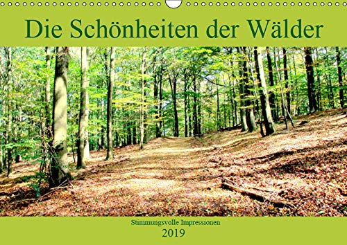 Die Schönheiten der Wälder - Stimmungsvolle Impressionen (Wandkalender 2019 DIN A3 quer): 1 Jahr in den Eifelwäldern unterwegs (Monatskalender, 14 Seiten ) (CALVENDO Natur) Social Sciences