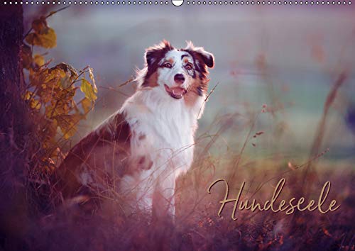 Hundeseele (Wandkalender 2019 DIN A2 quer): Hunde emotional fotografiert (Monatskalender, 14 Seiten ) (CALVENDO Tiere) Photography