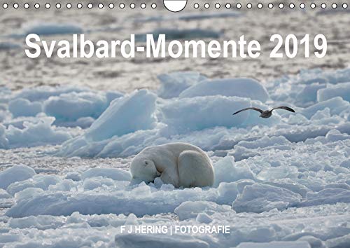 Svalbard-Momente (Wandkalender 2019 DIN A4 quer): Spitzbergen, Nordaustlandet und Kvitoya (Monatskalender, 14 Seiten ) (CALVENDO Natur) Photography