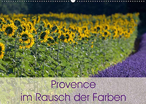 Provence im Rausch der Farben (Wandkalender 2019 DIN A2 quer): Dieser Kalender zeigt die Landschaft und Natur der Provence in ihrer farbenvollen ... (Monatskalender, 14 Seiten ) (CALVENDO Natur) Photography
