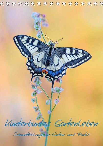Kunterbuntes Gartenleben - Schmetterlinge in Gärten und Parks (Tischkalender 2019 DIN A5 hoch): Ein Kalender für Naturliebhaber und Hobbygärtner (Monatskalender, 14 Seiten ) (CALVENDO Natur) Photography