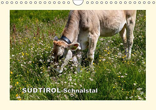 SÜDTIROL-Schnalstal (Wandkalender 2019 DIN A4 quer): Landschaft und Flora eines idyllischen Tals (Monatskalender, 14 Seiten ) (CALVENDO Natur) Leisure, Home & Garden