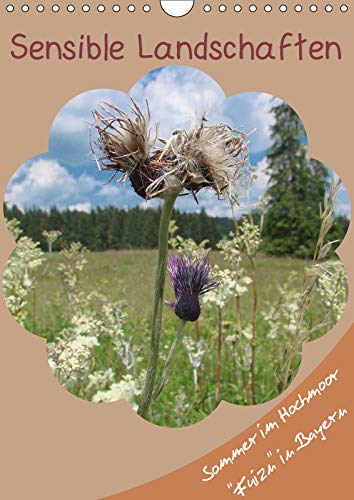 Sensible Landschaften , Sommer im Hochmoor (Wandkalender 2019 DIN A4 hoch): Pflanzen und Tiere des Hochmoors (Monatskalender, 14 Seiten ) (CALVENDO Natur) Non-fiction