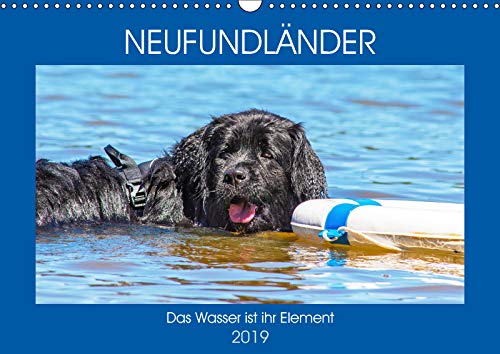 Neufundländer - Das Wasser ist ihr Element (Wandkalender 2019 DIN A3 quer): Neufundländer in allen drei Farben in ihrem angestammten Element auf 13 ... (Monatskalender, 14 Seiten ) (CALVENDO Tiere) Natural Sciences