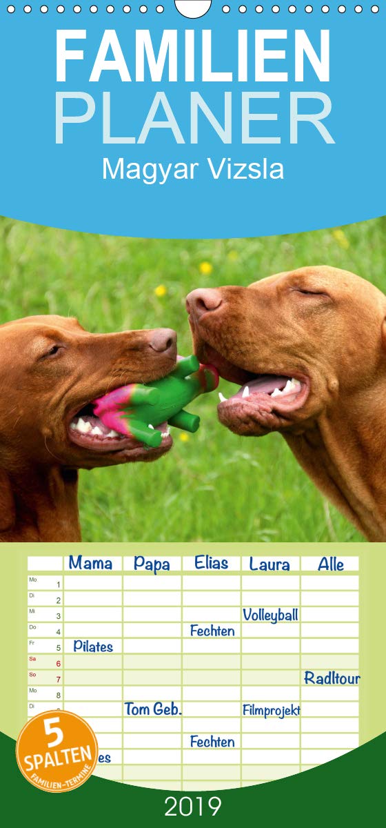 Magyar Vizsla - Familienplaner hoch (Wandkalender 2019 , 21 cm x 45 cm, hoch): Ungarische Vorstehhunde mit Charme und Herz (Monatskalender, 14 Seiten ) (CALVENDO Tiere) Living & Furnishing