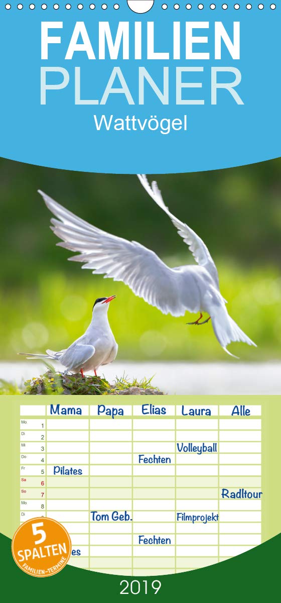Wattvögel an der Friesischen IJsselmeerküste - Familienplaner hoch (Wandkalender 2019 , 21 cm x 45 cm, hoch): Außergewöhnliche Aufnahmen von Wattvögel ... (Monatskalender, 14 Seiten ) (CALVENDO Tiere) Photography