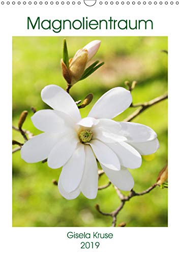 Magnolientraum (Wandkalender 2019 DIN A3 hoch): Magnolie, die Königin der Gehölze (Monatskalender, 14 Seiten ) (CALVENDO Natur) Leisure, Home & Garden
