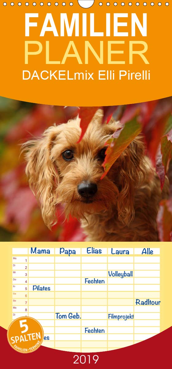 DACKELmix Elli Pirelli - Familienplaner hoch (Wandkalender 2019 , 21 cm x 45 cm, hoch): ....mit neuen Abenteuern aus der Hundeknipserei (Monatskalender, 14 Seiten ) (CALVENDO Tiere) Photography