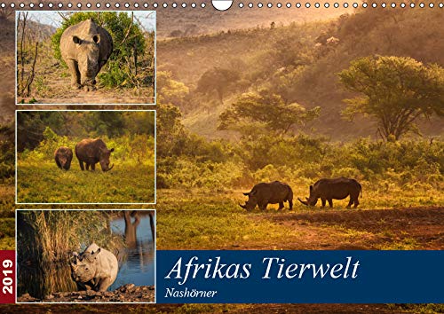 Afrikas Tierwelt: Nashörner (Wandkalender 2019 DIN A3 quer): Expedition zu den letzten ihrer Art! (Monatskalender, 14 Seiten ) (CALVENDO Tiere) Leisure, Home & Garden