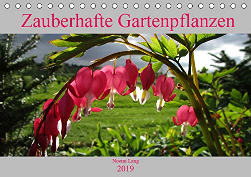 Zauberhafte Gartenpflanzen (Tischkalender 2019 DIN A5 quer): Schöne Pflanzenbilder, passend zu den Monaten. (Monatskalender, 14 Seiten ) (CALVENDO Natur) Leisure, Home & Garden