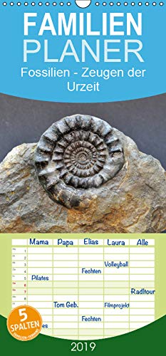 Fossilien - Zeugen der Urzeit - Familienplaner hoch (Wandkalender 2019 , 21 cm x 45 cm, hoch): Fossilien aus Westfalen und angrenzender Gebiete (Monatskalender, 14 Seiten ) (CALVENDO Wissenschaft) Leisure, Home & Garden