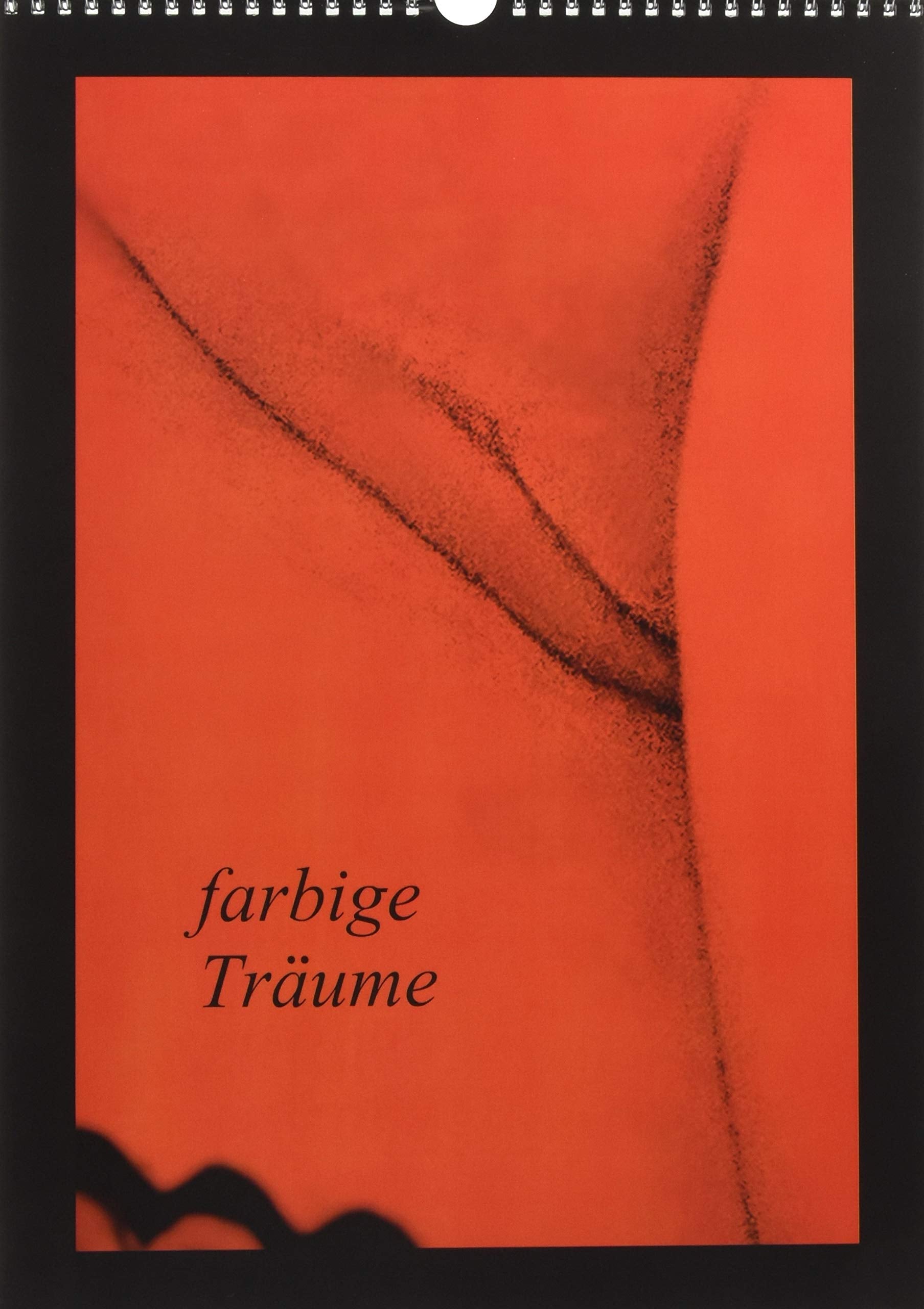 farbige Träume (Wandkalender 2019 DIN A3 hoch): erotische Traumbilder ... (Monatskalender, 14 Seiten ) (CALVENDO Menschen) Business, Finance & Career