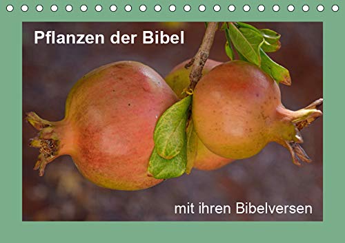 Pflanzen der Bibel (Tischkalender 2019 DIN A5 quer): Eine Auswahl in der Bibel erwähnter Pflanzen mit den passenden Bibelstellen. (Monatskalender, 14 Seiten ) (CALVENDO Glaube) Leisure, Home & Garden