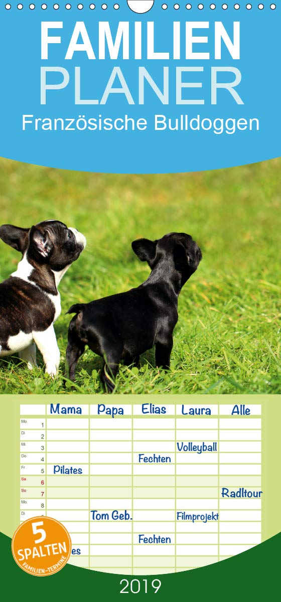Französische Bulldoggen - Familienplaner hoch (Wandkalender 2019 , 21 cm x 45 cm, hoch): Welpen in Aktion (Monatskalender, 14 Seiten ) (CALVENDO Tiere) Leisure, Home & Garden