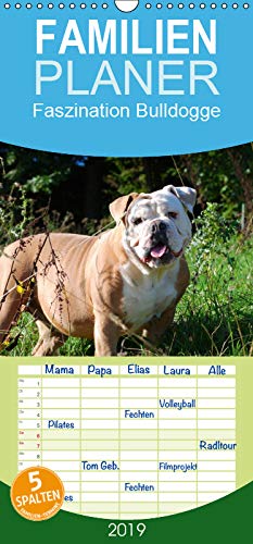 Faszination Bulldogge - Familienplaner hoch (Wandkalender 2019 , 21 cm x 45 cm, hoch): Liebenswerte Muskelpakete mit Charme und Charakter (Monatskalender, 14 Seiten ) (CALVENDO Tiere) Living & Furnishing
