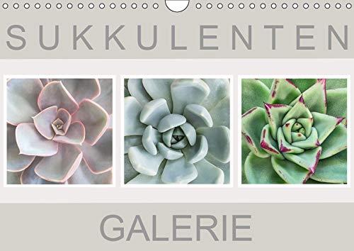 Sukkulenten Galerie (Wandkalender 2019 DIN A4 quer): Beeindruckende Nahaufnahmen von Sukkulenten (Monatskalender, 14 Seiten ) (CALVENDO Natur) Living & Furnishing