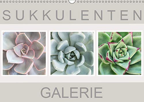 Sukkulenten Galerie (Wandkalender 2019 DIN A3 quer): Beeindruckende Nahaufnahmen von Sukkulenten (Monatskalender, 14 Seiten ) (CALVENDO Natur) Living & Furnishing