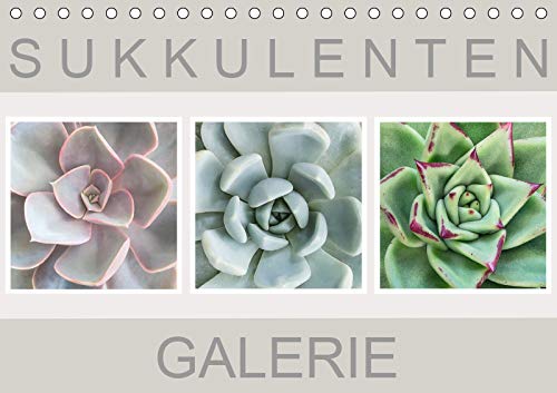 Sukkulenten Galerie (Tischkalender 2019 DIN A5 quer): Beeindruckende Nahaufnahmen von Sukkulenten (Monatskalender, 14 Seiten ) (CALVENDO Natur) Living & Furnishing