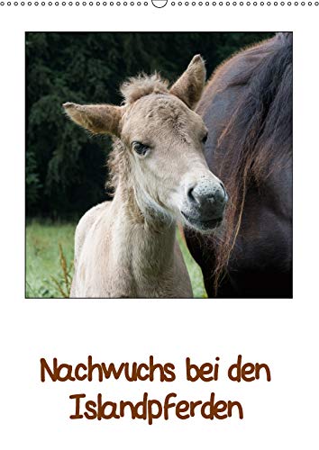 Nachwuchs bei den Islandpferden (Wandkalender 2019 DIN A2 hoch): Liebenswerte Islandfohlen (Monatskalender, 14 Seiten ) (CALVENDO Tiere) Pets