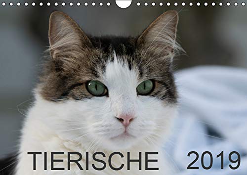 Tierische 2019 (Wandkalender 2019 DIN A4 quer): 12 Tier-Aufnahmen (Monatskalender, 14 Seiten ) (CALVENDO Tiere) Contemporary literature