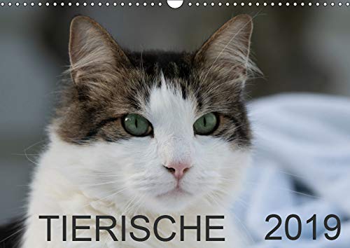 Tierische 2019 (Wandkalender 2019 DIN A3 quer): 12 Tier-Aufnahmen (Monatskalender, 14 Seiten ) (CALVENDO Tiere) Contemporary literature
