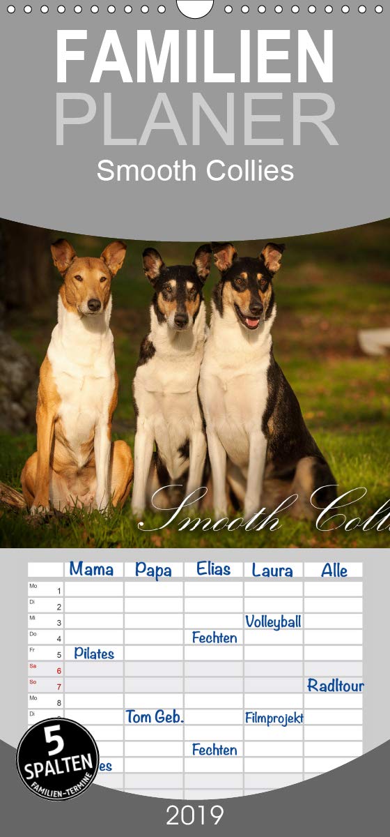 Smooth Collies - Familienplaner hoch (Wandkalender 2019 , 21 cm x 45 cm, hoch): Portraits einer faszinierenden Rasse - für Liebhaber und solche, die ... (Monatskalender, 14 Seiten ) (CALVENDO Tiere) Living & Furnishing