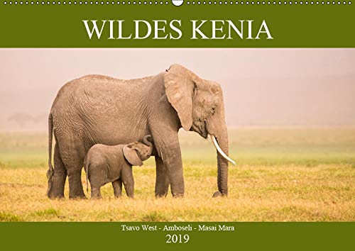 Wildes Kenia (Wandkalender 2019 DIN A2 quer): Aus dem Leben der Tiere in der afrikanischen Wildnis (Monatskalender, 14 Seiten ) (CALVENDO Tiere) Photography