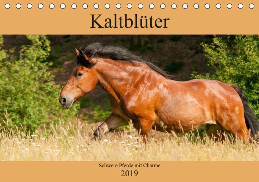 Kaltblüter - Schwere Pferde mit Charme (Tischkalender 2019 DIN A5 quer): Zauberhafte Kaltblutpferde (Monatskalender, 14 Seiten ) (CALVENDO Tiere) Contemporary literature