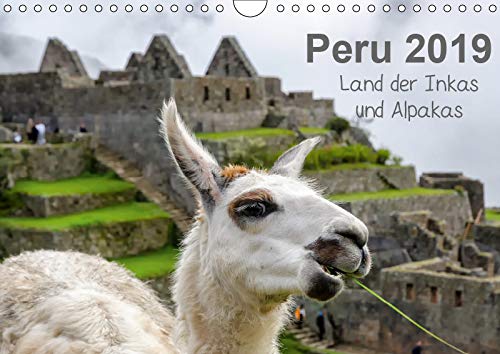 Peru - Land der Inkas und Alpakas (Wandkalender 2019 DIN A4 quer): Peru - Heimat der Alpakas und des alten Inkareiches (Monatskalender, 14 Seiten ) (CALVENDO Orte) Living & Furnishing