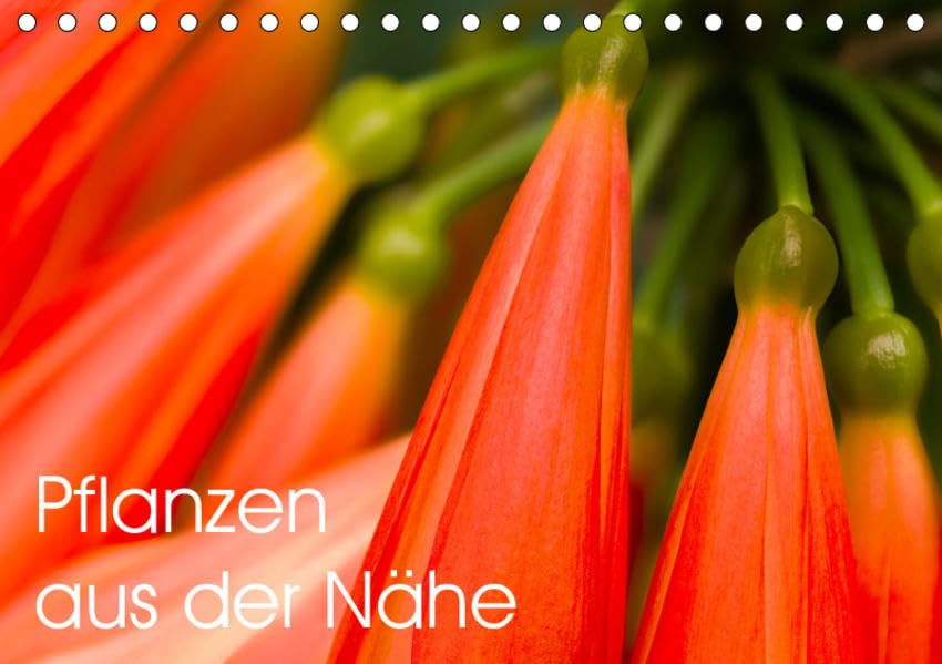 Pflanzen aus der Nähe (Tischkalender 2019 DIN A5 quer): Faszinierende Nahaufnahmen aus der Pflanzenwelt (Monatskalender, 14 Seiten ) (CALVENDO Natur) Leisure, Home & Garden