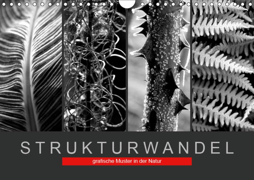 Strukturwandel, grafische Muster in der Natur (Wandkalender 2019 DIN A4 quer): Muster und Strukturen aus der Natur (Monatskalender, 14 Seiten ) (CALVENDO Natur) Leisure, Home & Garden