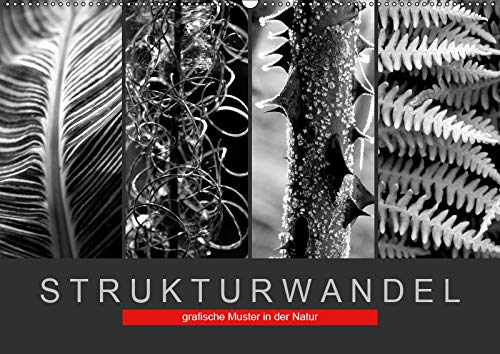 Strukturwandel, grafische Muster in der Natur (Wandkalender 2019 DIN A2 quer): Muster und Strukturen aus der Natur (Monatskalender, 14 Seiten ) (CALVENDO Natur) Leisure, Home & Garden