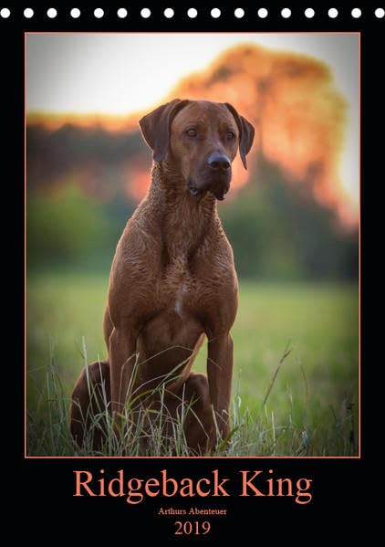 Ridgeback King - Arthurs Abenteuer (Tischkalender 2019 DIN A5 hoch): Rhodesian Ridgeback Arthur (Monatskalender, 14 Seiten ) (CALVENDO Tiere) Photography