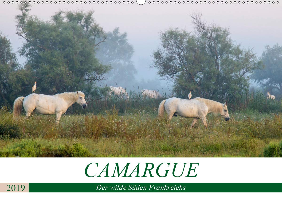 Camargue - Der wilde Süden Frankreichs (Wandkalender 2019 DIN A2 quer): Landschaft und Tiere des einzigartigen Feuchtgebietes im Rhone-Delta (Monatskalender, 14 Seiten ) (CALVENDO Natur) Photography