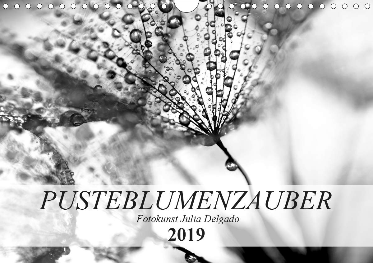 Pusteblumenzauber in schwarzweiß (Wandkalender 2019 DIN A4 quer): Phantastische Nahaufnahmen von Pusteblumen (Monatskalender, 14 Seiten ) (CALVENDO Natur) Leisure, Home & Garden