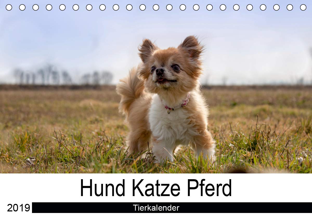 Hund Katze PferdAT-Version (Tischkalender 2019 DIN A5 quer): Mit Tieren durchs ganze Jahr (Monatskalender, 14 Seiten ) (CALVENDO Tiere) Living & Furnishing