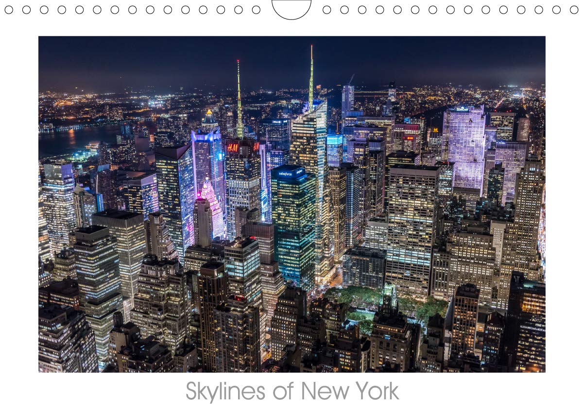Skylines of New York (Wandkalender 2019 DIN A4 quer): Die schönsten Ansichten New York´s (Monatskalender, 14 Seiten ) (CALVENDO Orte) Photography