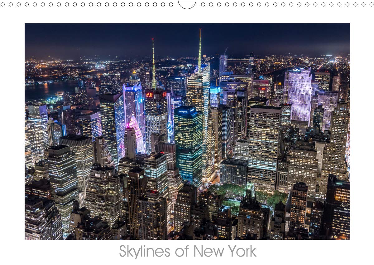 Skylines of New York (Wandkalender 2019 DIN A3 quer): Die schönsten Ansichten New York´s (Monatskalender, 14 Seiten ) (CALVENDO Orte) Photography