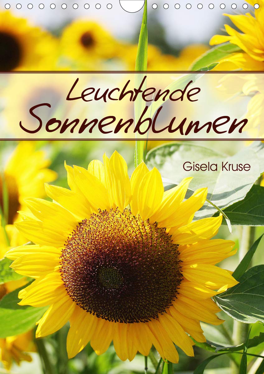 Leuchtende Sonnenblumen (Wandkalender 2019 DIN A4 hoch): Sonnenschein durch strahlende Sonnenblumen (Planer, 14 Seiten ) (CALVENDO Natur) Garden & Plants