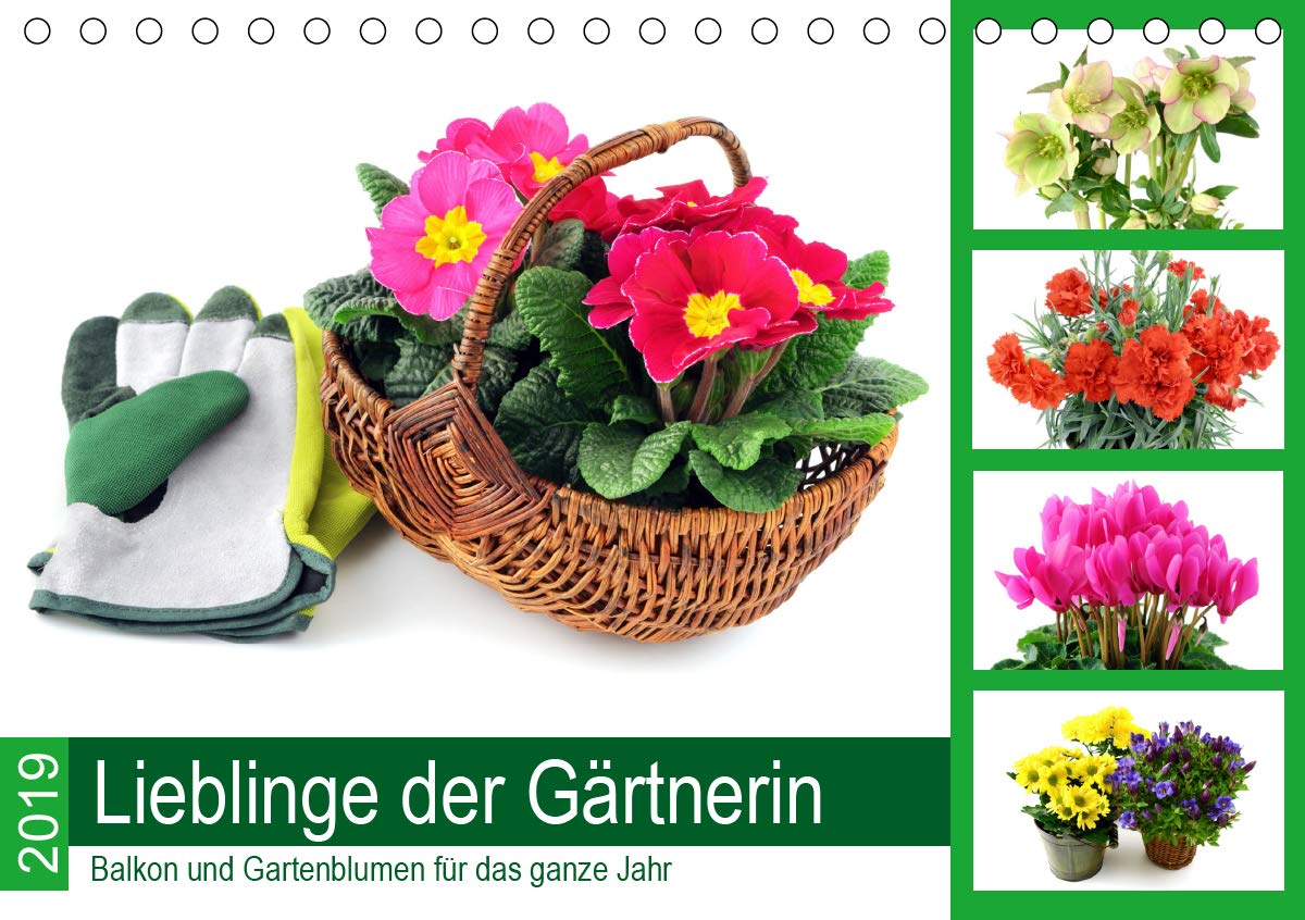 Lieblinge der Gärtnerin - Balkon und Gartenblumen für das ganze Jahr (Tischkalender 2020 DIN A5 quer): Blütenzauber für die Augen (Monatskalender, 14 Seiten ) (CALVENDO Natur) Leisure, Home & Garden