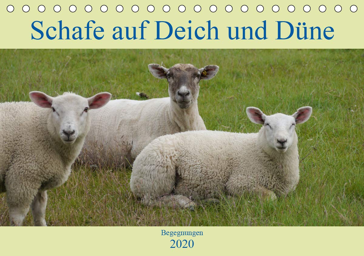 Schafe auf Deich und Düne (Tischkalender 2020 DIN A5 quer): Lass Dich von einigen wolligen und typisch norddeutschen Küstenbewohnern durch das Jahr ... (Monatskalender, 14 Seiten ) (CALVENDO Natur) Leisure, Home & Garden