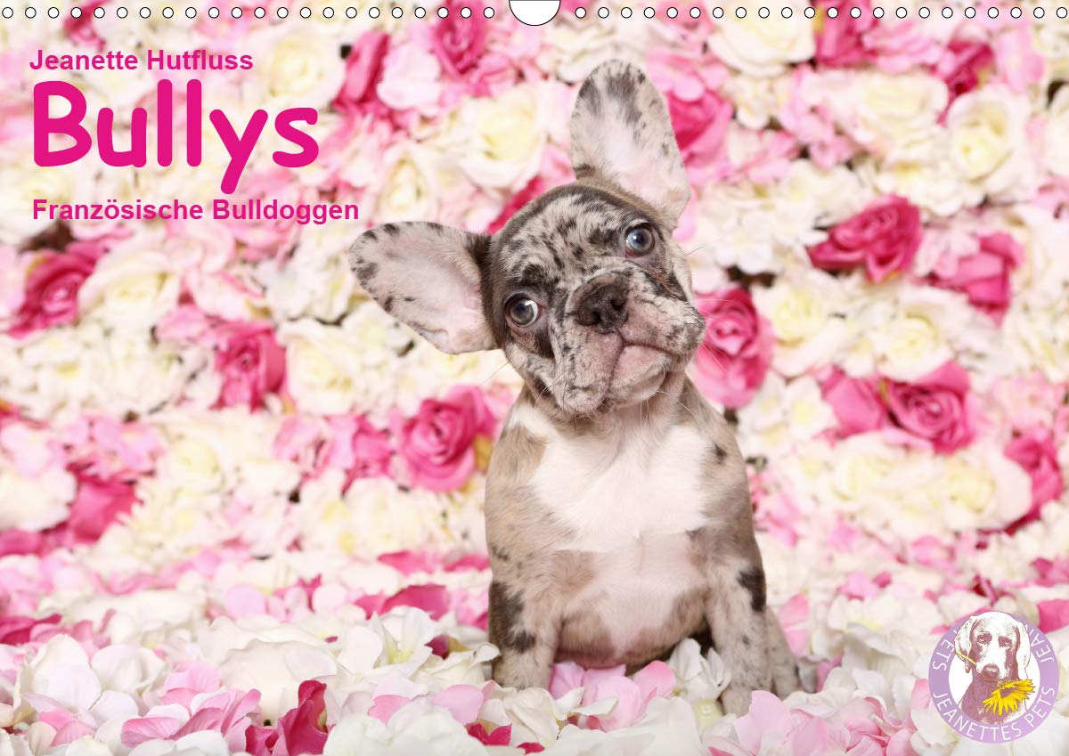 Bullys - Französische Bulldoggen 2020 (Wandkalender 2020 DIN A3 quer): Kleine Hunde mit großem Herz (Monatskalender, 14 Seiten ) (CALVENDO Tiere) Living & Furnishing