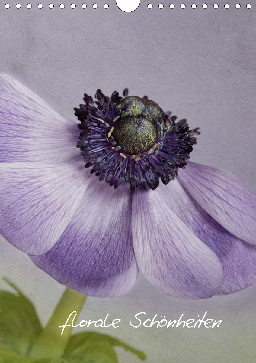 Florale Schönheiten (Wandkalender 2020 DIN A4 hoch): Malerische Blumenmakros von Monika Buch (Monatskalender, 14 Seiten ) (CALVENDO Kunst) Living & Furnishing