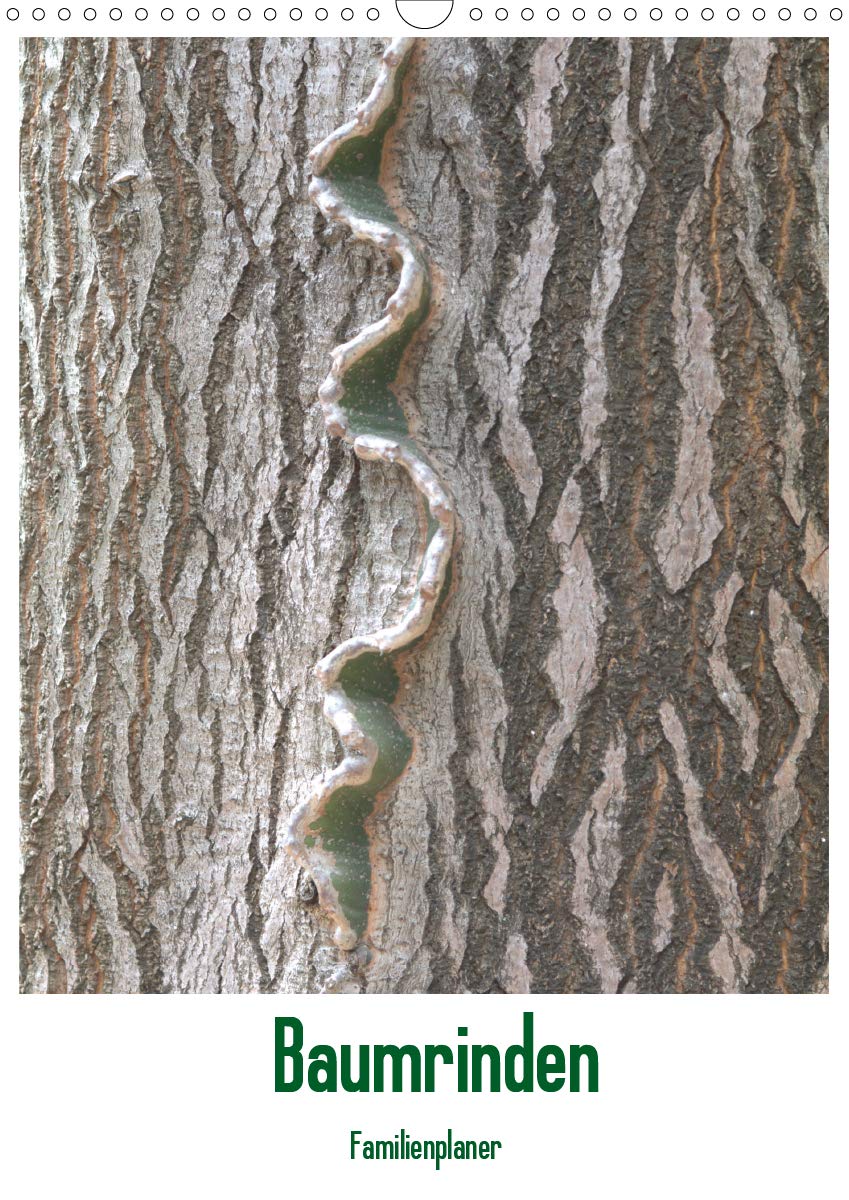 Baumrinden (Wandkalender 2020 DIN A3 hoch): Baumrinden sind schützend und vielfältig in ihrer Farbe und Struktur. (Familienplaner, 14 Seiten ) (CALVENDO Natur) Leisure, Home & Garden